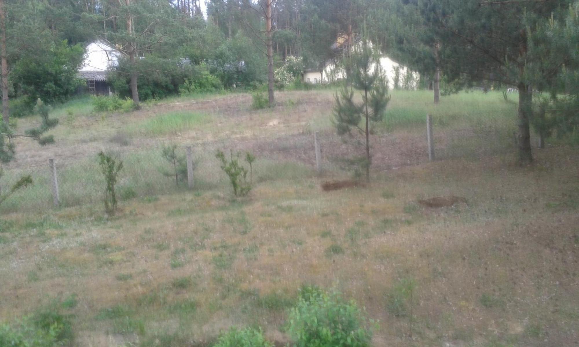 Domek Lesna Przystan Strekowizna Exteriör bild